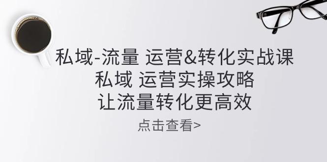 私域-流量 运营&转化实操课：私域 运营实操攻略 让流量转化更高效-知芽创业社