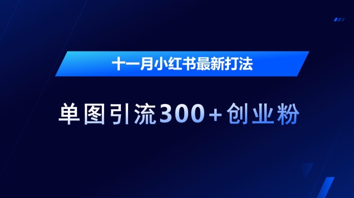 十一月小红书最新打法，单图引流300+创业粉【揭秘】-知芽创业社