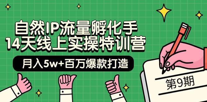 (9881期)自然IP流量孵化手 14天线上实操特训营【第9期】月入5w+百万爆款打造 (74节)-知芽创业社