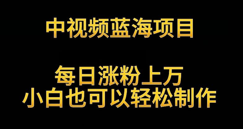 中视频蓝海项目，解读英雄人物生平，每日涨粉上万，小白也可以轻松制作，月入过万不是梦【揭秘】-知芽创业社
