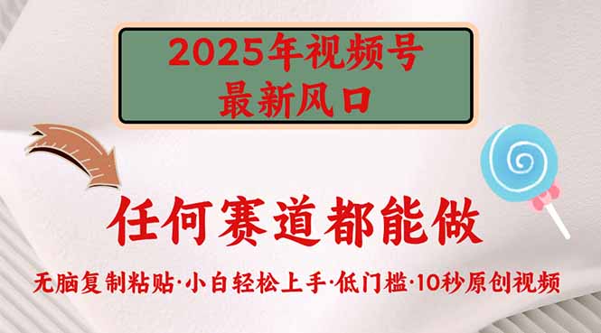 2025年视频号新风口，低门槛只需要无脑执行-知芽创业社