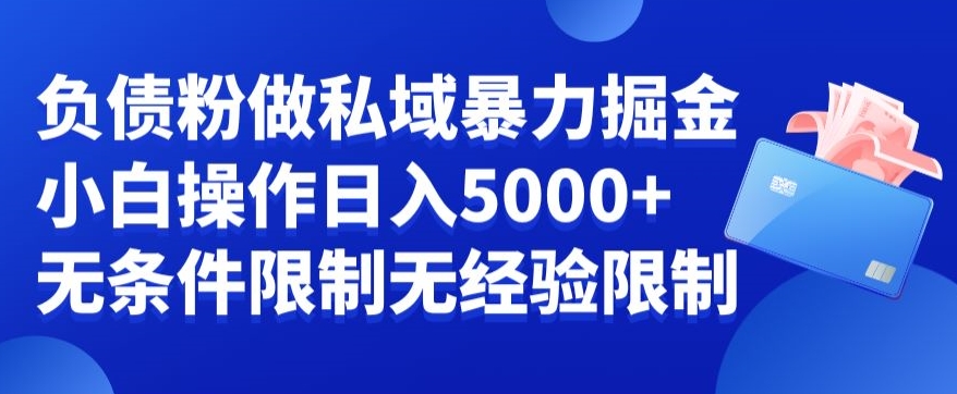 负债粉私域暴力掘金，小白操作入5000，无经验限制，无条件限制【揭秘】-知芽创业社