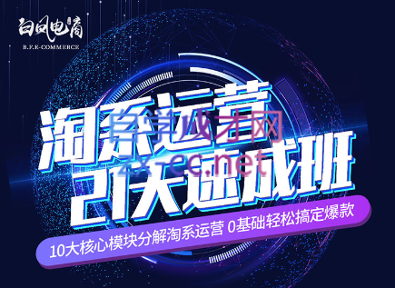 淘系运营21天速成班(更新24年5月)-知芽创业社