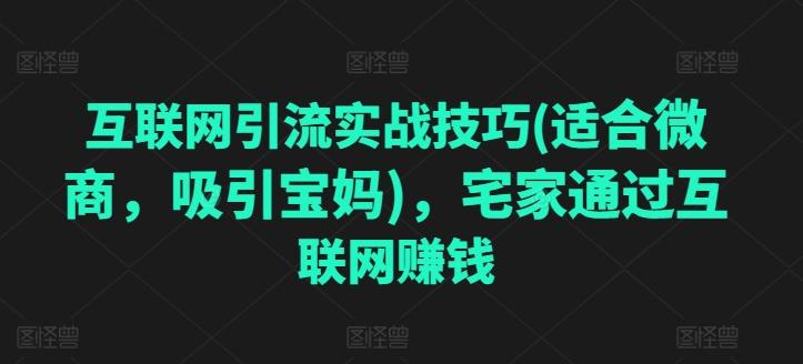 互联网引流实战技巧(适合微商，吸引宝妈)，宅家通过互联网赚钱-知芽创业社