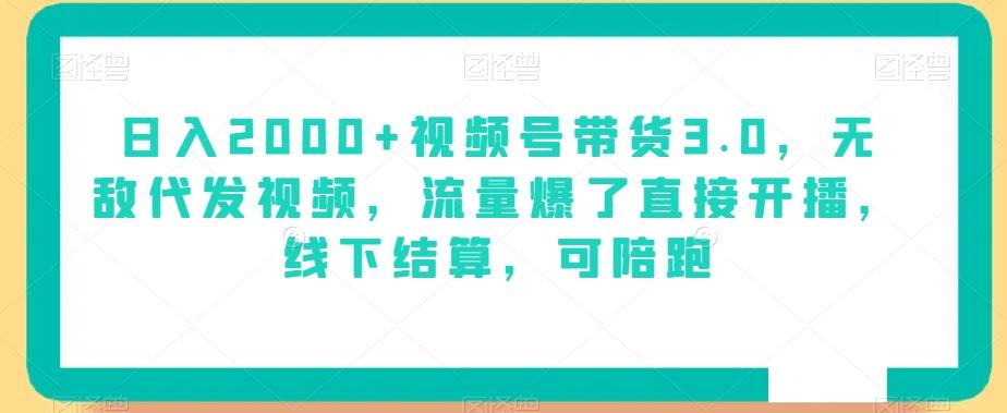 日入2000+视频号带货3.0，无敌代发视频，流量爆了直接开播，线下结算，可陪跑-知芽创业社