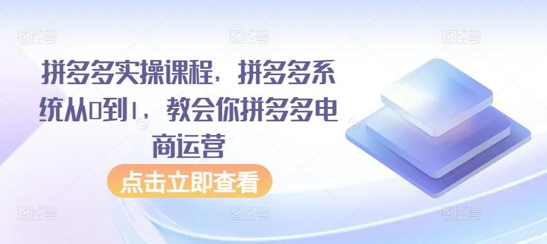 拼多多实操课程，拼多多系统从0到1，教会你拼多多电商运营-知芽创业社