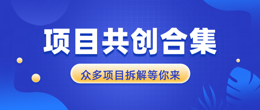 项目共创合集，从0-1全过程拆解，让你迅速找到适合自已的项目-知芽创业社