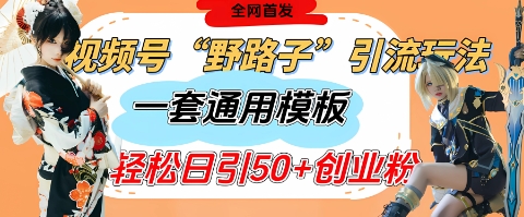 视频号“野路子”玩法，评论区疯狂截流，一套模板单日单号引流50+创业粉-知芽创业社