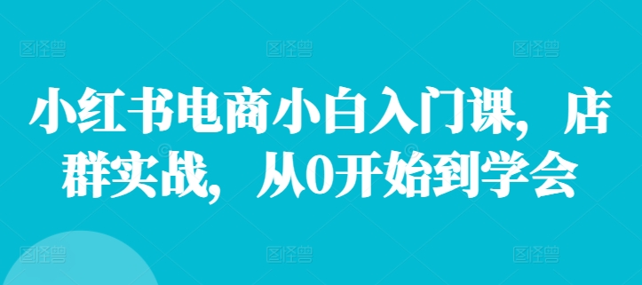小红书电商小白入门课，店群实战，从0开始到学会-知芽创业社