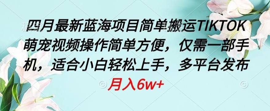 四月最新蓝海项目，简单搬运TIKTOK萌宠视频，操作简单方便，仅需一部手机【揭秘】-知芽创业社