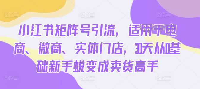 小红书矩阵号引流，适用于电商、微商、实体门店，30天从0基础新手蜕变成卖货高手-知芽创业社
