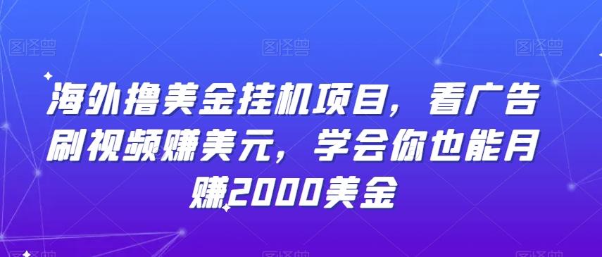 海外撸美金挂机项目，看广告刷视频赚美元，学会你也能月赚2000美金-知芽创业社