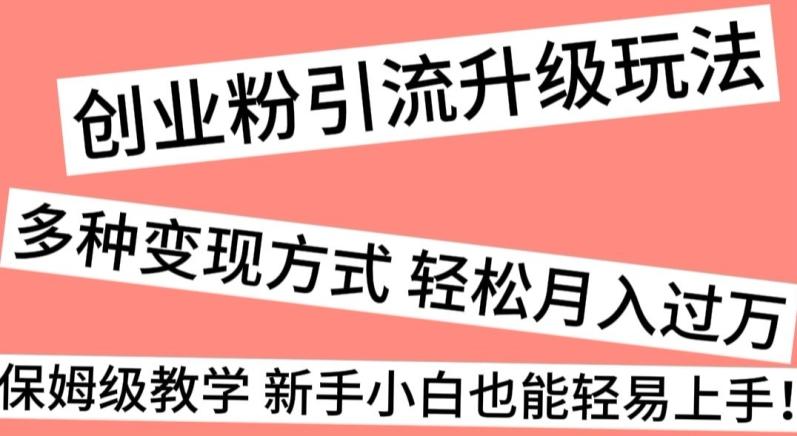 创业粉引流升级玩法，多种变现方式轻松月入过万，保姆级教学新手小白也能轻易上手！-知芽创业社
