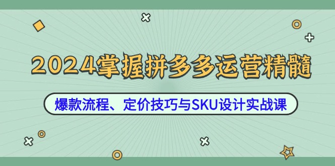 2024掌握拼多多运营精髓：爆款流程、定价技巧与SKU设计实战课-知芽创业社