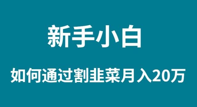 (9308期)新手小白如何通过割韭菜月入 20W-知芽创业社