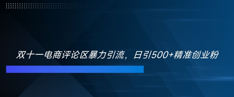 双十一电商评论区暴力引流，日引500+精准创业粉【揭秘】-知芽创业社
