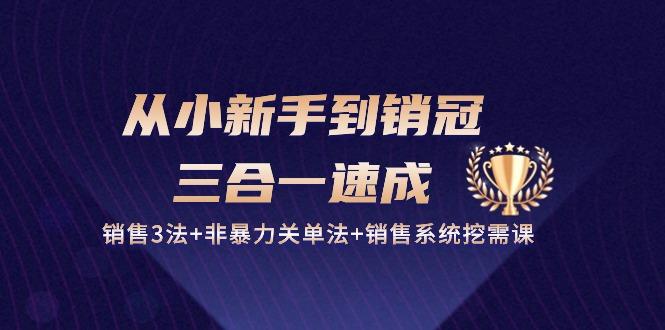 从小新手到销冠 三合一速成：销售3法+非暴力关单法+销售系统挖需课 (27节-知芽创业社