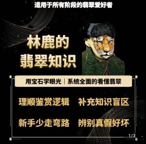 林鹿的翡翠知识，​用宝石眼光，系统全面的看懂翡翠-知芽创业社