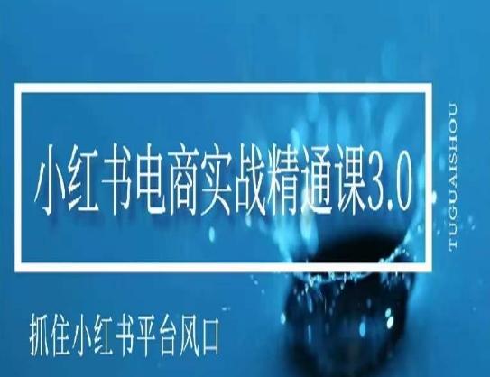 小红书电商实战精通课3.0，抓住小红书平台的风口，不错过有一个赚钱的机会-知芽创业社