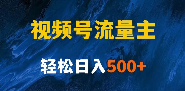 揭秘视频号创作者分成计划，带你玩赚视频号流量主！新手也能月入1w+-知芽创业社