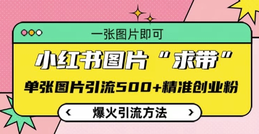 小红书图片‘求带’爆火引流法，单张图片引流500+精准创业粉【揭秘】-知芽创业社