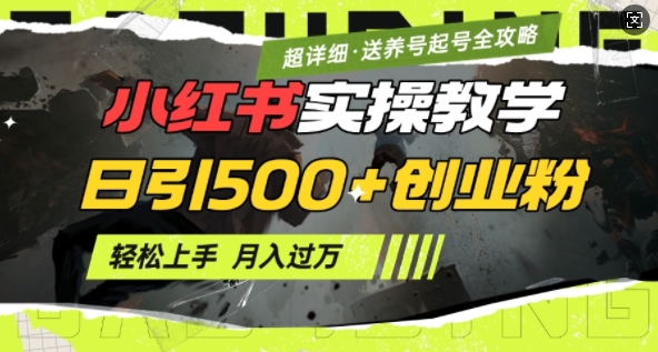 2月小红书最新日引500+创业粉实操教学【超详细】小白轻松上手，月入1W+，附小红书养号起号SOP-知芽创业社