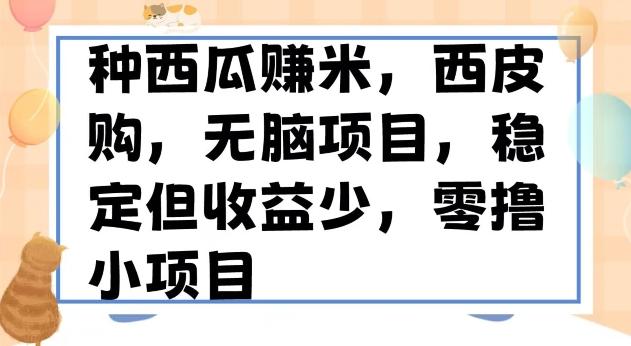 种西瓜赚米，西皮购稳定长久零撸小项目-知芽创业社