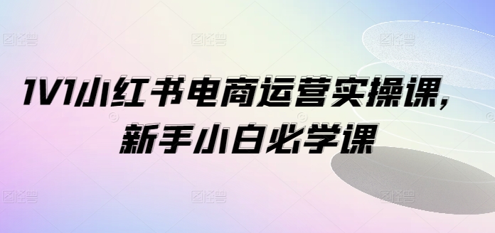 1V1小红书电商运营实操课，新手小白必学课-知芽创业社