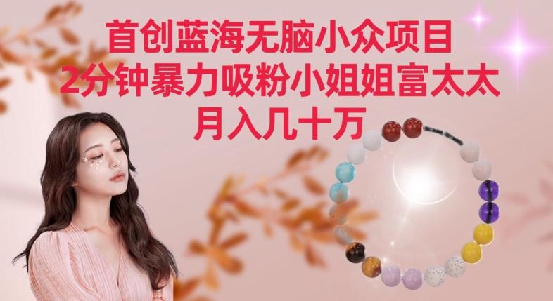 首创蓝海无脑小众项目，2分钟暴力吸粉小姐姐富太太，月入几十万【揭秘】-知芽创业社