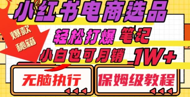 小红书电商爆款选品秘籍，帮你轻松打爆笔记，小白也可轻松月销10000+-知芽创业社