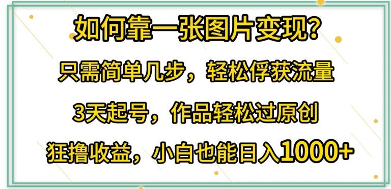 如何靠一张图片变现?只需简单几步，轻松俘获流量，3天起号，作品轻松过原创【揭秘】-知芽创业社