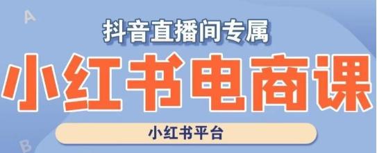 小红书电商高级运营课程，实操教学+案例分析-知芽创业社