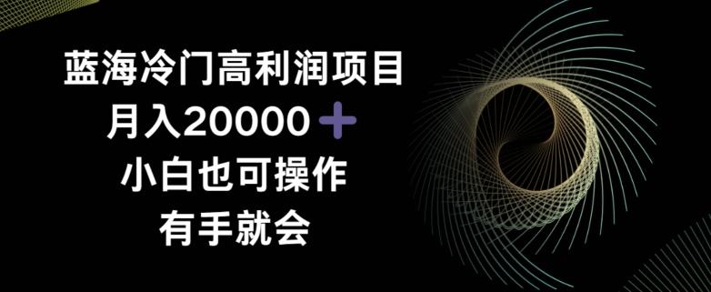 蓝海冷门高利润项目月入2000，小白也可操作有手就会-知芽创业社