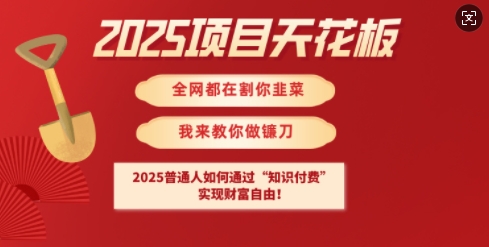 2025项目天花板普通人如何通过知识付费，实现财F自由【揭秘】-知芽创业社